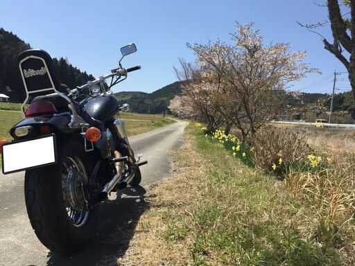 検付！希少！STEED600ノーマル・日本製本格アメリカンの記念碑的マシン