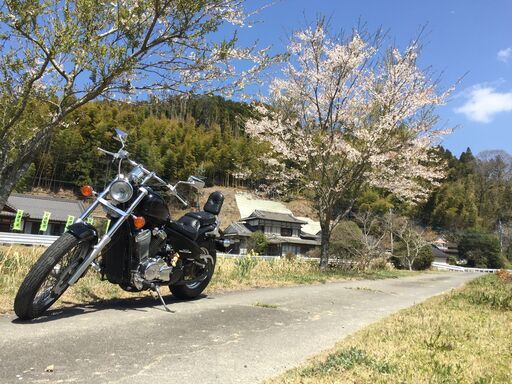 検付！希少！STEED600ノーマル・日本製本格アメリカンの記念碑的マシン