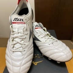 モレリアネオの中古が安い!激安で譲ります・無料であげます|ジモティー