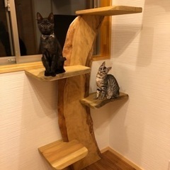 🐈オリジナルのキャットタワー、キャットウォーク作りませんか🐈猫好き🐈