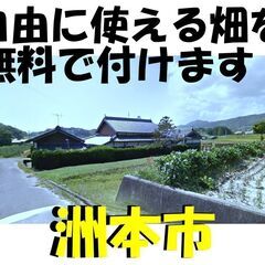 洲本市★平家★納屋付き★畑を無料で貸します！ドッグランやB...