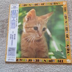 子猫物語サウンドトラック盤LPレコード