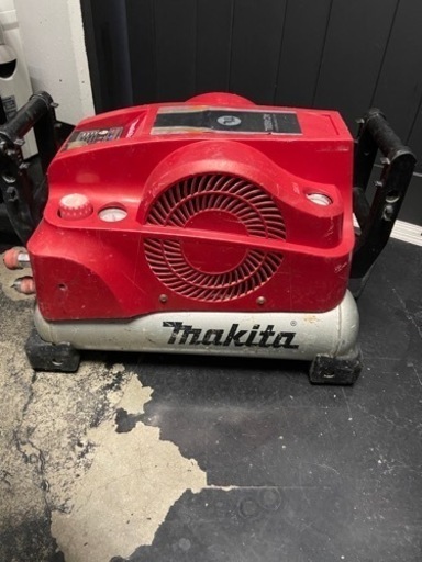 卑弥呼若魚産卵前11匹を8000円タイリクミジンコ付