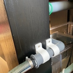 バラ売り 90cmオーバーフロー水槽3点セットその他 サンゴ 海水魚