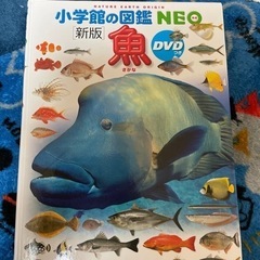 小学館の魚図鑑　DVD付き