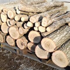 完売しました】薪(ミズナラ) 薪ストーブ・キャンプ (一昨年前に伐採