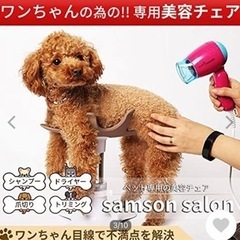 【ネット決済・配送可】ペット用の美容椅子　SAMSON SALON
