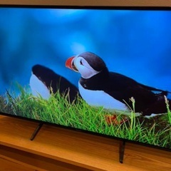 55インチ　4K液晶テレビ　Panasonic TH-55GX755