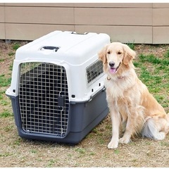 大型犬用クレート　譲って下さい