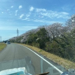 火曜日＆土曜日のみ配送ドライバー募集⭐︎（要準中型免許）