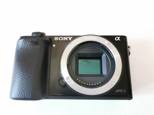 ソニー Sony ボディ:α6000 ILCE-6000 ＆ レンズ:E18-135mm F3.5-5.6
