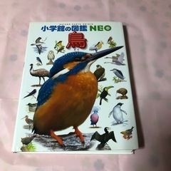 小学館 図鑑 鳥 お取り引き先決定しました