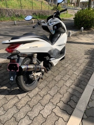 pcx125 JF28 後期型 | tintasmarfim.com.br