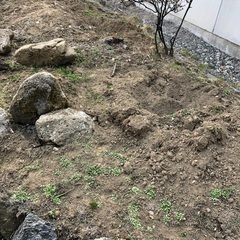 庭土、庭石さしあげます。