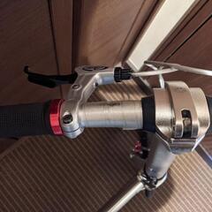 DAHON (ダホン) DOVE PLUS