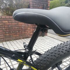 Bengshi Cavalier ファットタイヤマウンテンバイク