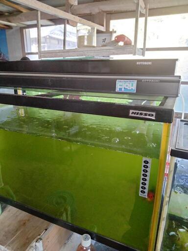 只今交渉中　90cm水槽　上部フィルター、照明セット