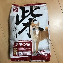 国産　柴犬　日本犬　ドッグフード