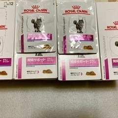 【ネット決済・配送可】腎臓サポート 猫 パウチ 50袋
