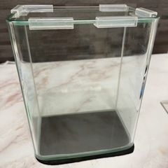 水槽　ガラス　アクアリウム