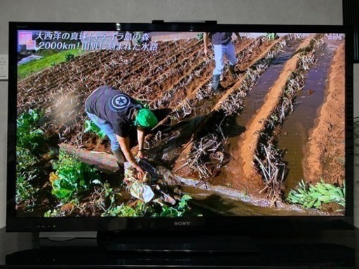 予約済　買い替えの為　SONY 55型TV ブルーレイレコーダーセット　BRAVIA