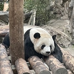 你好😄日本語を勉強したい中国人の方、もしくは中国語を勉強したい日...