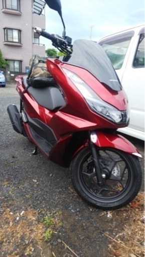 PCX 現行車