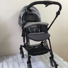 ピジョン ランフィリノン アカチャンホンポ限定モデル