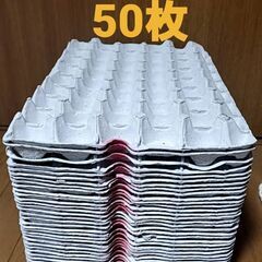 ☆ たまごパック　紙製　50枚セット