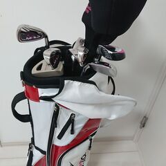 購入者決まりました）WORLD EAGLE(ワールドイーグル) FL-01☆V2  