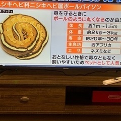 50型TV(2020年製)とテレビ台のセット