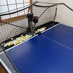 ロボポン2040＋IGNIO 国際規格卓球台 ネット付き