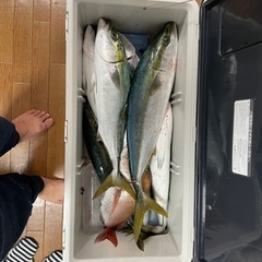 釣り仲間募集中