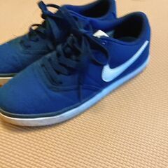 NIKE　SB　スニーカー　23センチ（中古小さめサイズ）