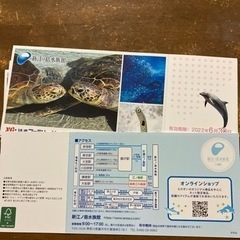 新江ノ島水族館　招待券