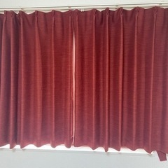 ニトリのカーテン　幅100×高さ110 2枚