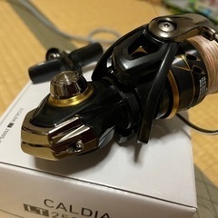 21 カルディア　LT2500S-XH