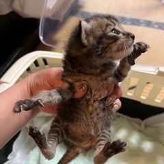 実家の車庫に1人ぼっちで…(>_<｡)💦 − 群馬県