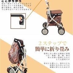 高齢者向けショッピングカート 高齢者用カー シルバーカー 折りたたむ (002E握り制動) 手押し車