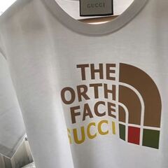 【ネット決済・配送可】GUCCI*THE NORTH FACE