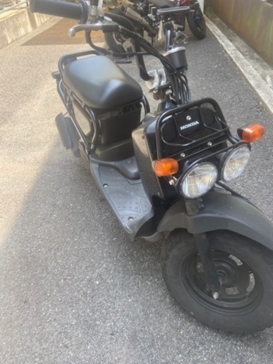 実動車 HONDA ZOOMER ホンダ ズーマー セル一発