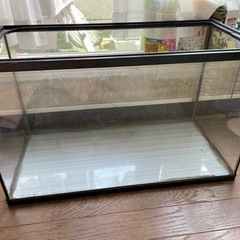 受取決定しました。60cm ガラス水槽