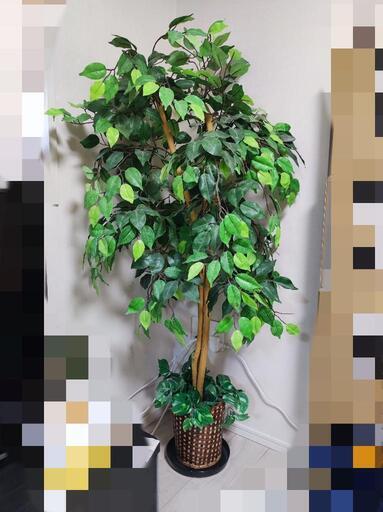 人工観葉植物　高さ約155cm