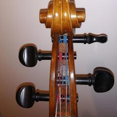 チェロ Franz Kirschnek 1980年