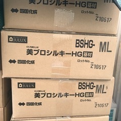 【ネット決済】美ブロシルキーHG(５箱)