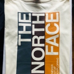 【ネット決済・配送可】海外限定 The North Face ザ...