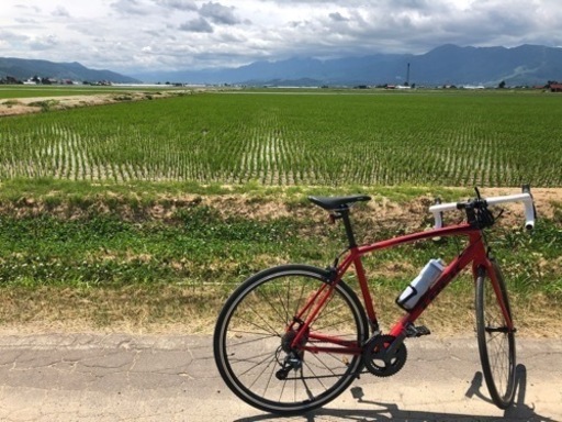 TREK トレック　エモンダ　emonda alr4 ロードバイク