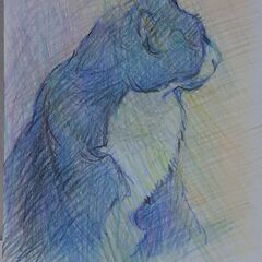 猫の色鉛筆画