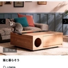 LOWYA ローテーブル （猫も遊べる）