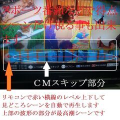 (^^♪　兄弟神機　DVR-BZ250/350 2台セットでも単品でもOK「リモコン無し」